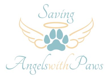 Saving Angels with Paws